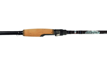 an image of the dobyns sierra spinning rod