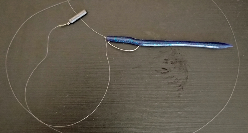 a picture of a texas rigged drop shot