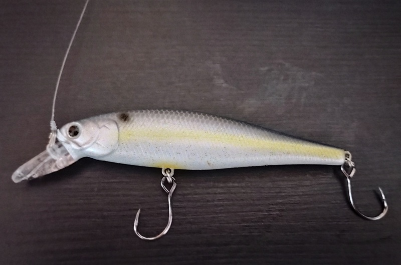 an image of a lucky craft pointer 100