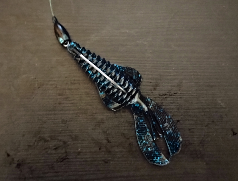 an image of a texas rigged strike king rage bug