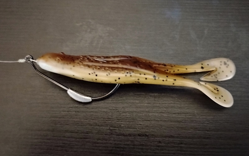 an image of a zoom horny toad