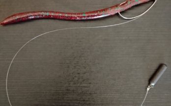an image of a drop shot with a yamamoto sensei worm
