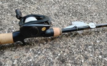 an image of a g loomis glx fishing rod with a lews bb1 casting reel