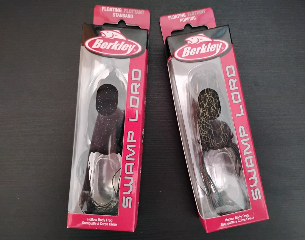 an image of two berkley swamp lord frogs