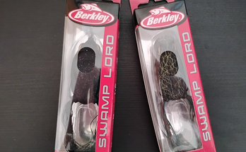 an image of two berkley swamp lord frogs